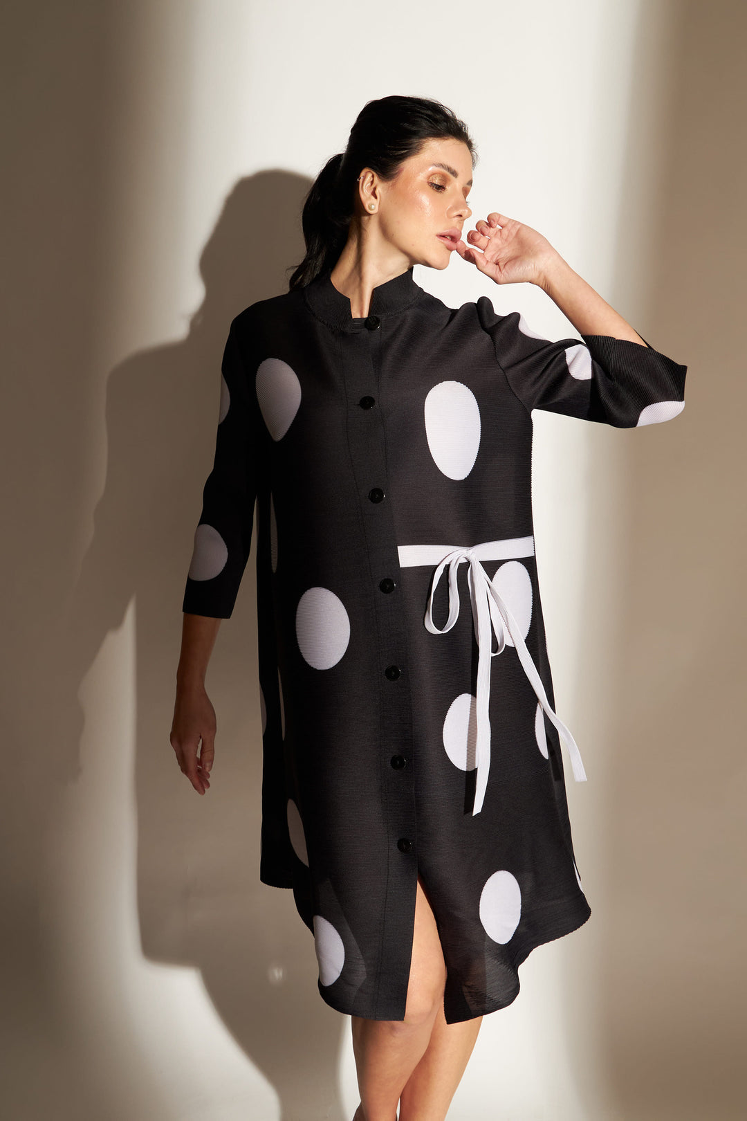 Pheobe Polka Dot Printed Dress - Black