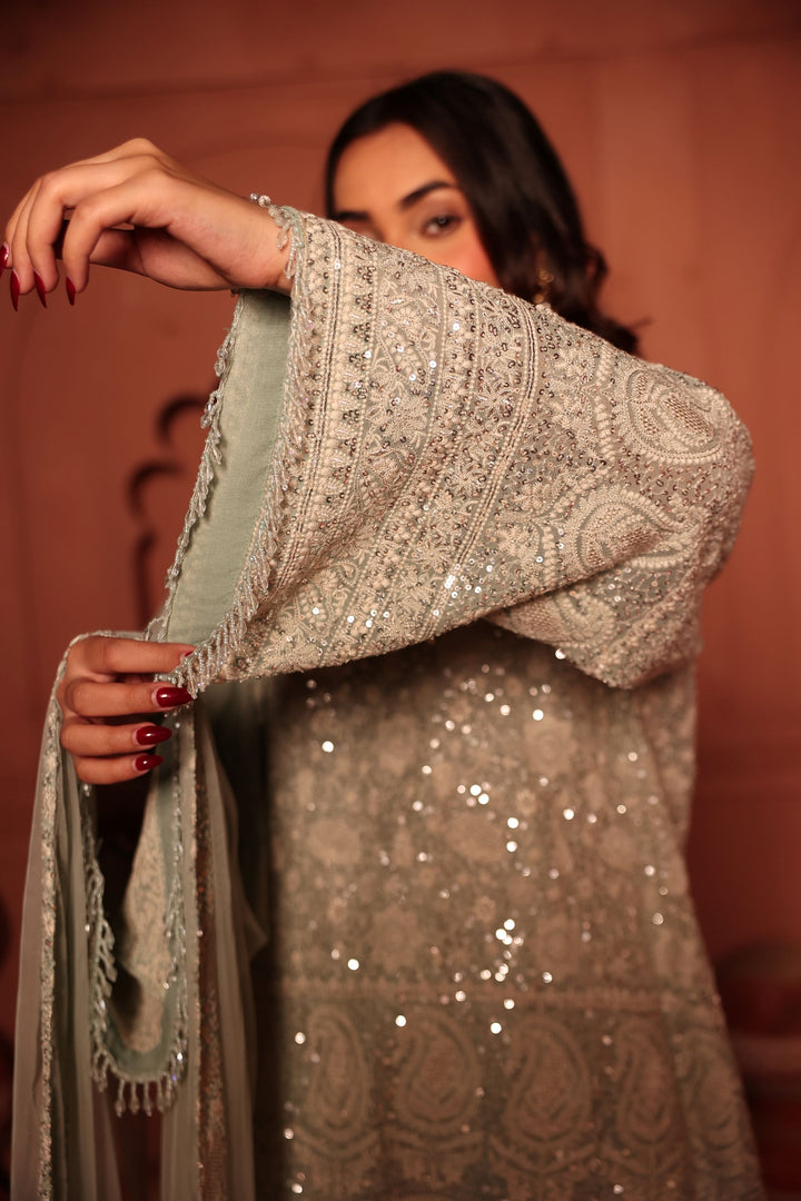 Inaaya Crystal Embroidered Sharara Set - Powder Blue