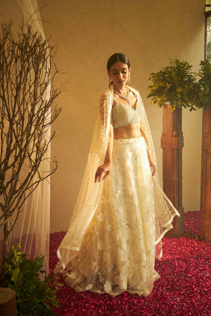 Bella Beads and Sequence Lehenga  with Crop Top - Fawn