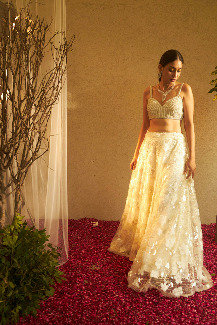 Bella Beads and Sequence Lehenga  with Crop Top - Fawn