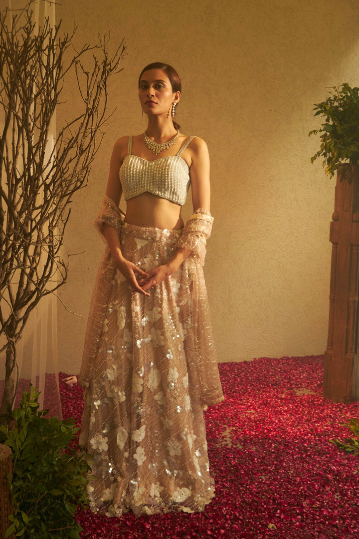 Bella Beads and Sequence Lehenga  with Crop Top - Tuscan